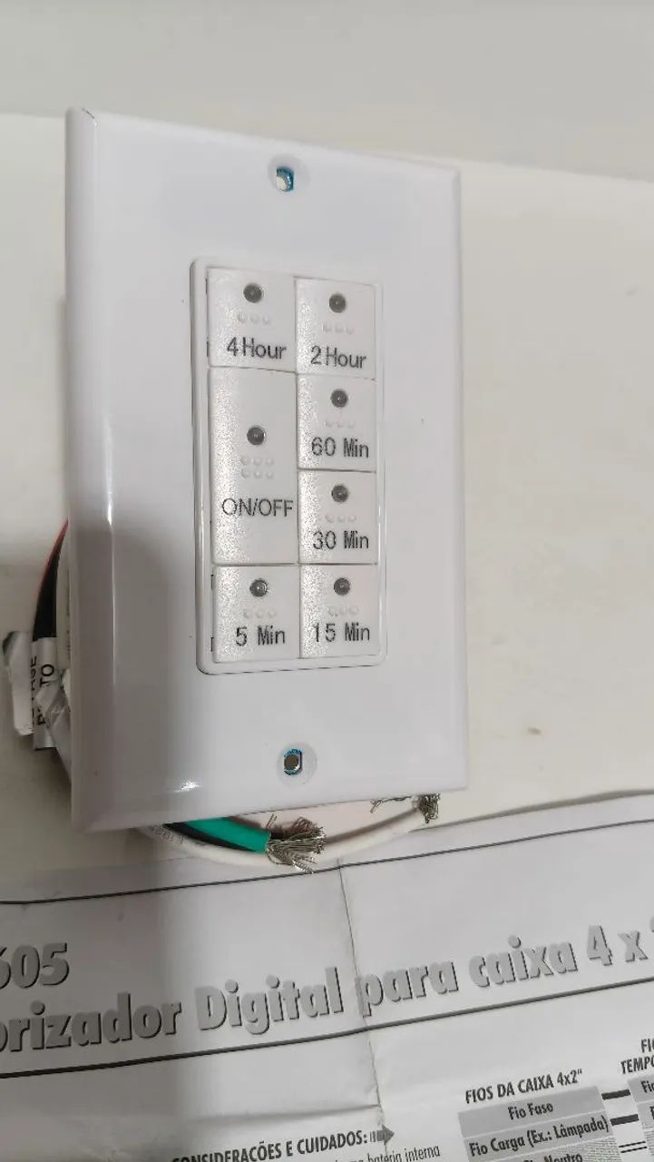 Timer 110V