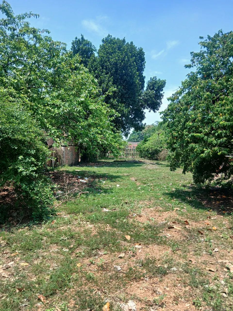 Vendo esse lindo terreno  - Foto 4
