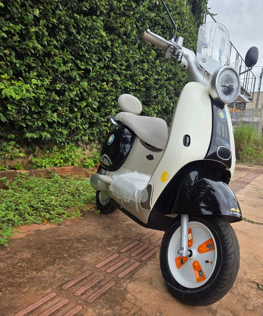 Autropropelito  Retro 1000w  - Foto 4