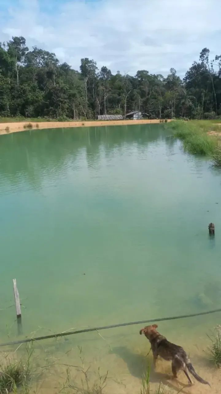 Imóvel para venda com 262800 metros quadrados - Foto 3