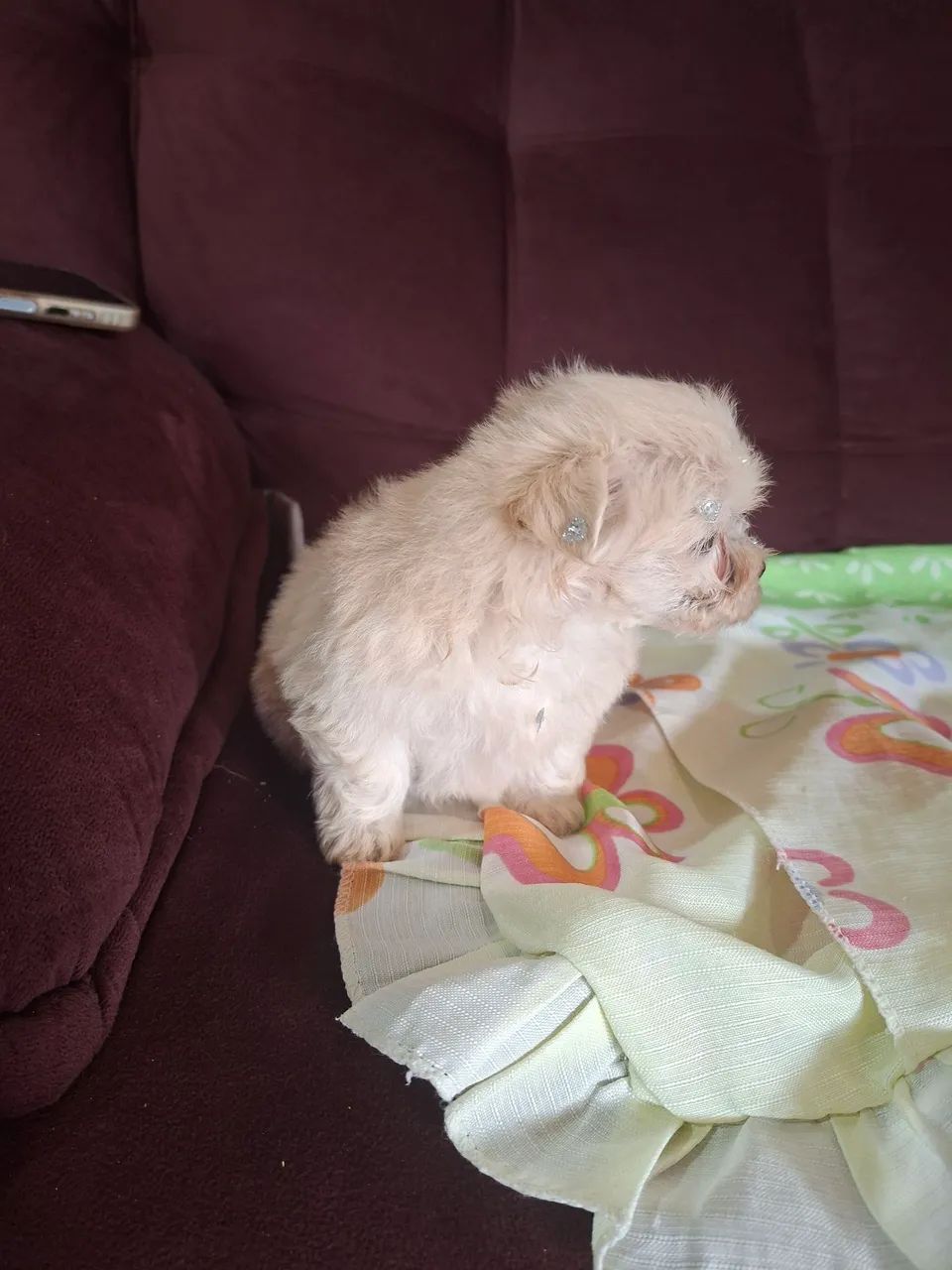Vendo - Foto 2