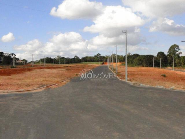Terreno à venda, 144 m² por r$ 84.270,00 - eucaliptos - fazenda rio grande/pr - Foto 7