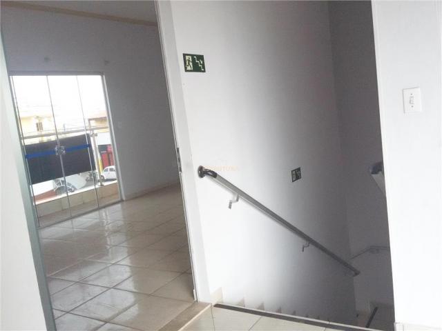 Selecione residencial para locação, Jardim Olinda, Rio Claro. - Foto 12