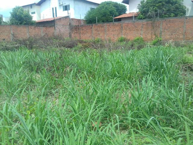 Terreno Condomínio Kennedy Park - Foto 5