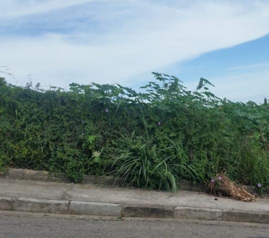 Lote - terreno à venda, , caiçara - belo horizonte/mg - Foto 3