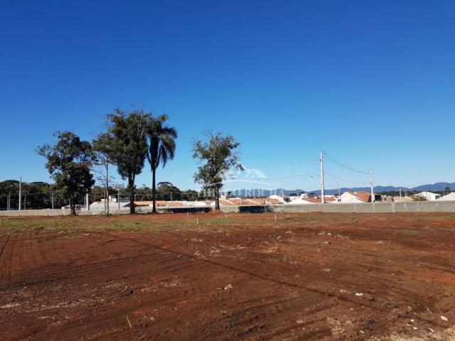 Terreno em condomínio fechado, 125m² exclusivos, área verde, a partir de r$105 mil reais - Foto 11