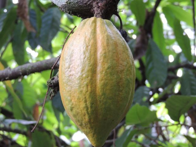 Vendo fazenda, excelente para plantar café ou eucalípto - Foto 19
