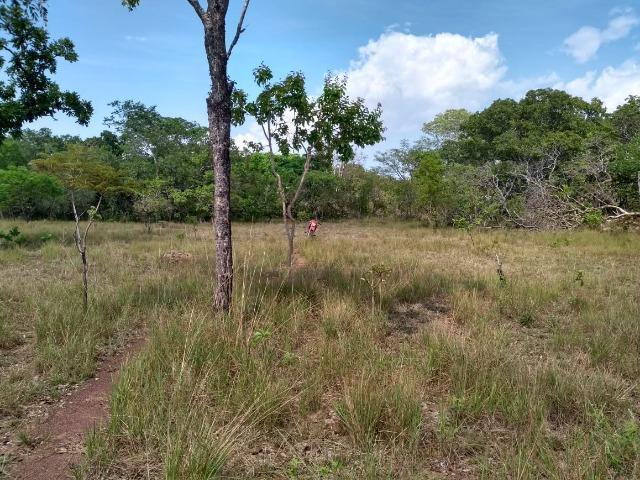 5.324 (1.100 alq) no berço da soja para alta produção de grãos - Foto 4