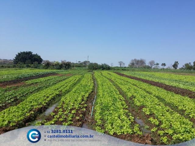 Fazenda 20616 m² por R$ 790.000 em Goiânia - Foto 13
