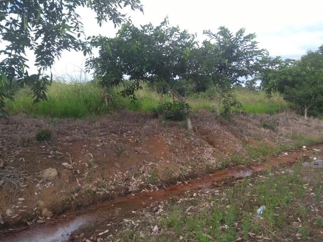 Terreno na Rodovia Ilhéus/Itabuna km 07 - Banco da Vitória - Foto 11