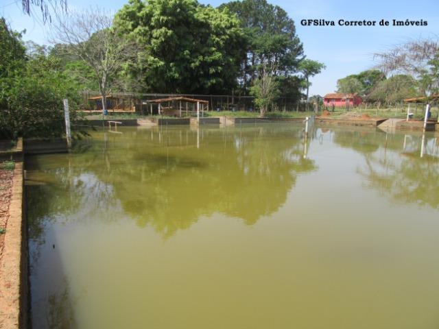 Sítio 2 alqueires e 1/2 todo plano 02 Lagos pronto p/ Haras Ref. 491 Silva Corretor - Foto 18