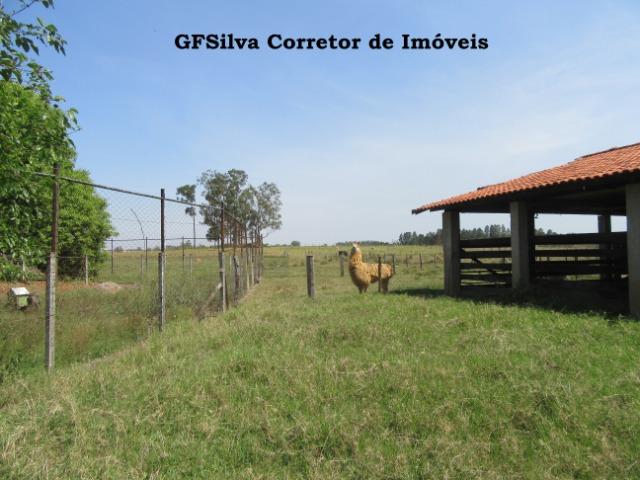 Sítio 2 alqueires e 1/2 todo plano 02 Lagos pronto p/ Haras Ref. 491 Silva Corretor - Foto 15