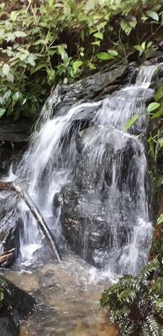 42 alqueires,,, são lourenço,,, da serra