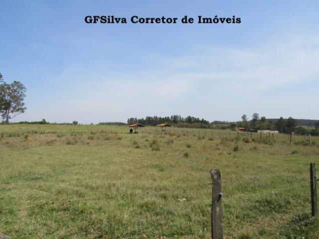 Sítio 2 alqueires e 1/2 todo plano 02 Lagos pronto p/ Haras Ref. 491 Silva Corretor - Foto 17