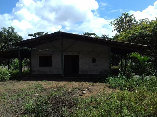Sítio em Abrantes - Aluguel/arrendamento - Foto 4