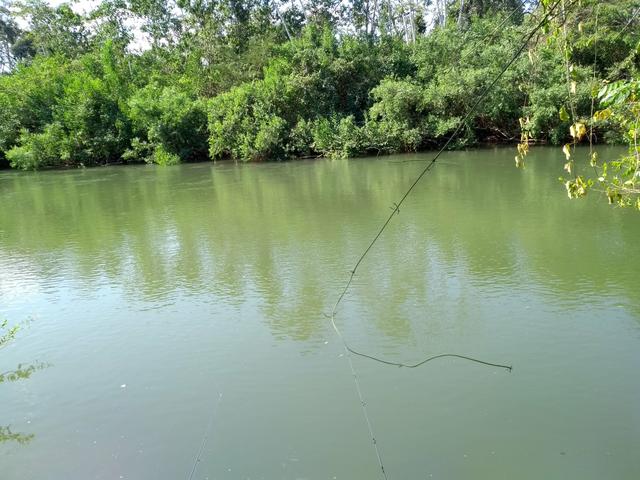 Vendo Sitio - Pesqueiro - Foto 3
