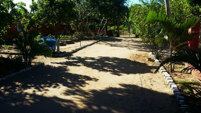 Granja Pium 7KM de Parnamirim à 4km da BR 101, Varanda, Piscina, Fogão a Lenha - Foto 5
