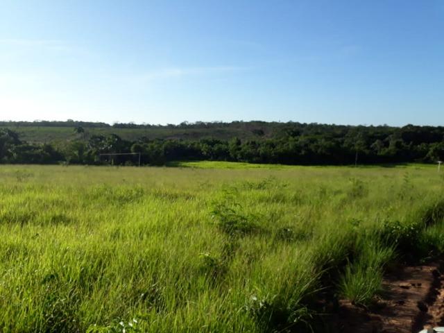 Fazenda Cultura na Beira Rio Araguaia. Araguatins-TO.