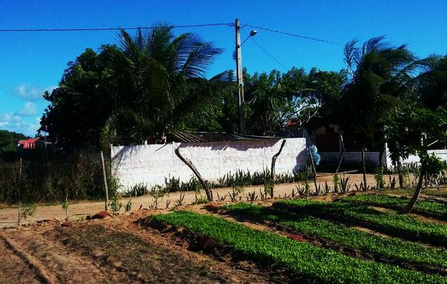 Granja Pium 7KM de Parnamirim à 4km da BR 101, Varanda, Piscina, Fogão a Lenha - Foto 8