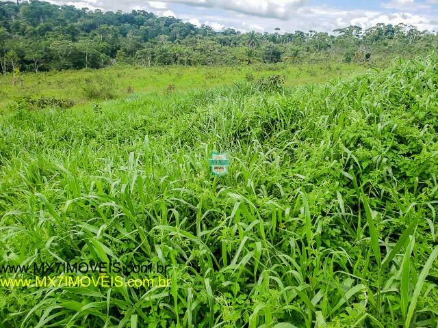 Ubaitaba. Fazenda mista de 160 Hectares, rica em água. - Foto 17