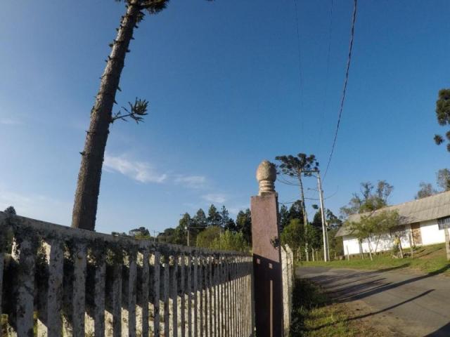 Chácara nà venda - barro preto - são josé dos pinhais/pr - Foto 5
