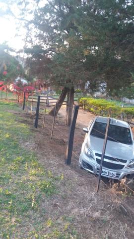 Arrenda -Fazenda Agricultura e Pecuária- - Foto 8