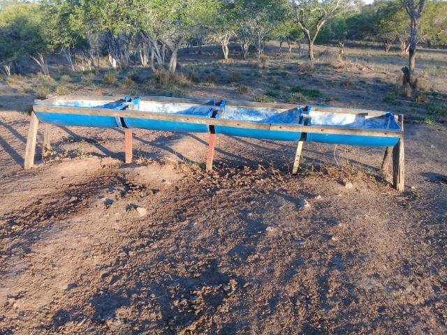 Lindíssima Fazendinha na região rural de Antonio Cardoso Bahia - Foto 3