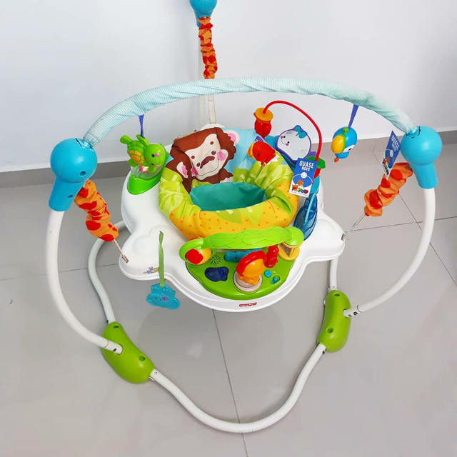 jumperoo fisher price olx