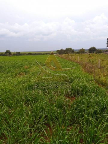 Fazenda - Guaraí - Guaraí - Foto 4