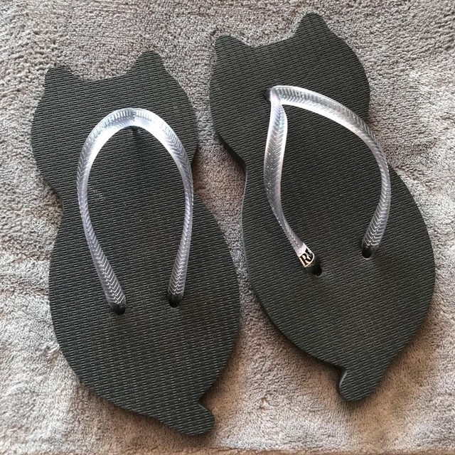 Chinelo de Gato - Foto 4