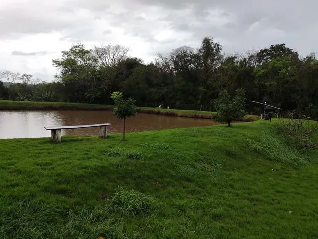Vendo sítio em Santa Lúcia  - Foto 7