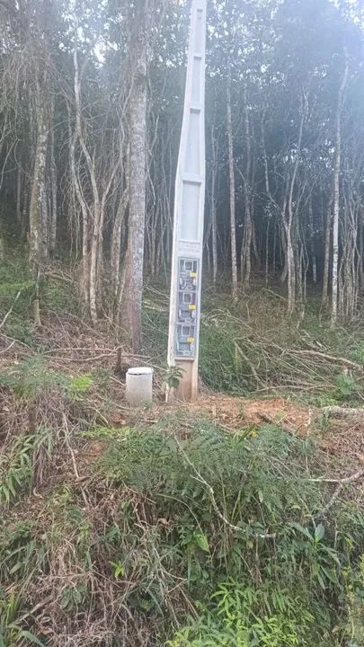 Terreno com área verde em local tranquilo