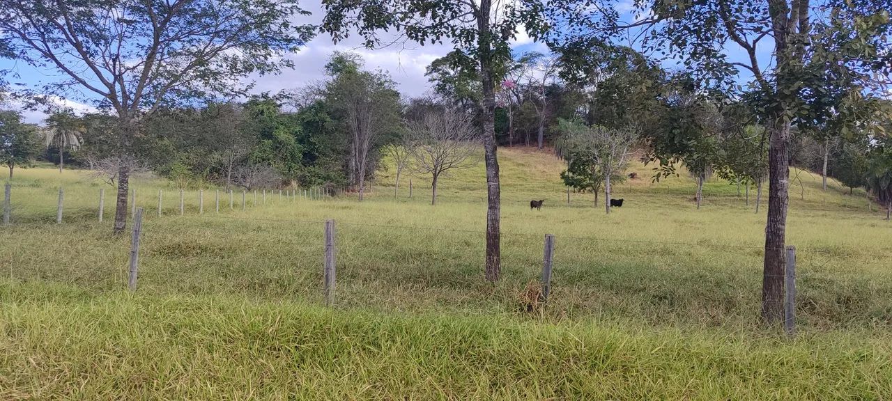 Chácara em Avelinópolis 