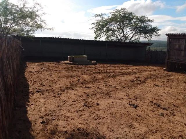 Fazenda no Cariri medindo 460 hectares ideal para criação bovinos e caprinos - Foto 4