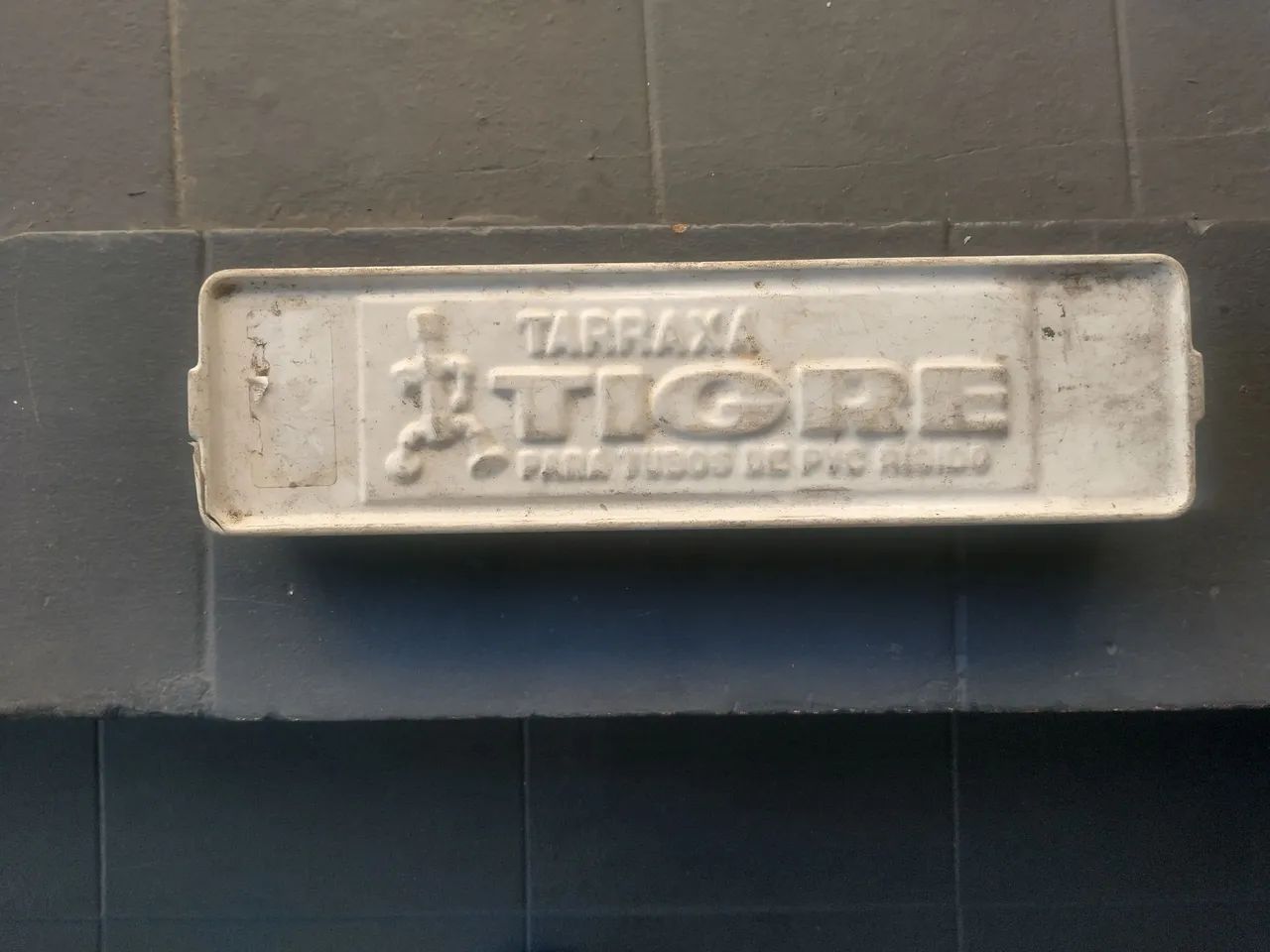 Tarraxas tigre - Foto 2