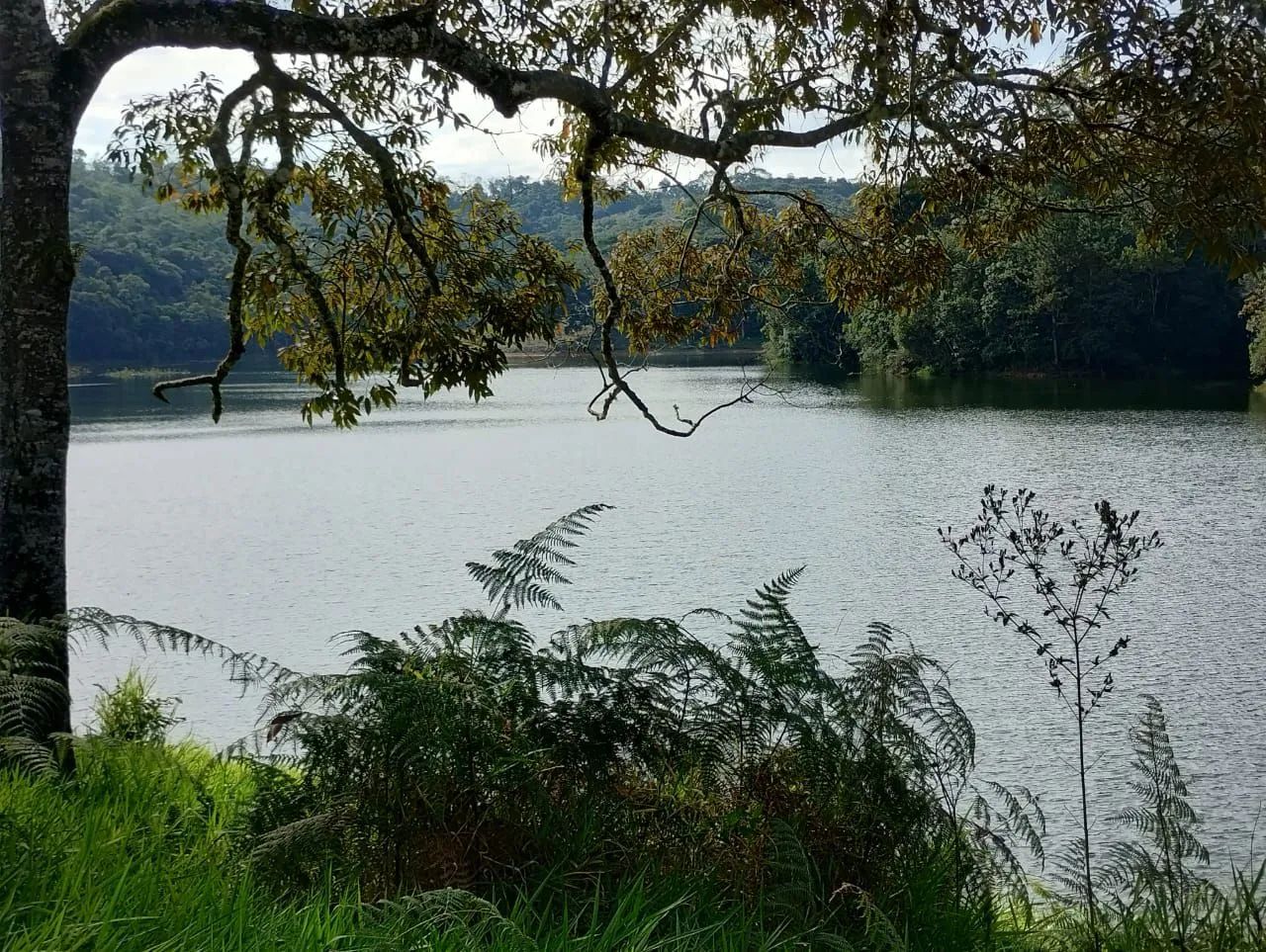 3 mil mts pe na agua na mais linda represa da região 