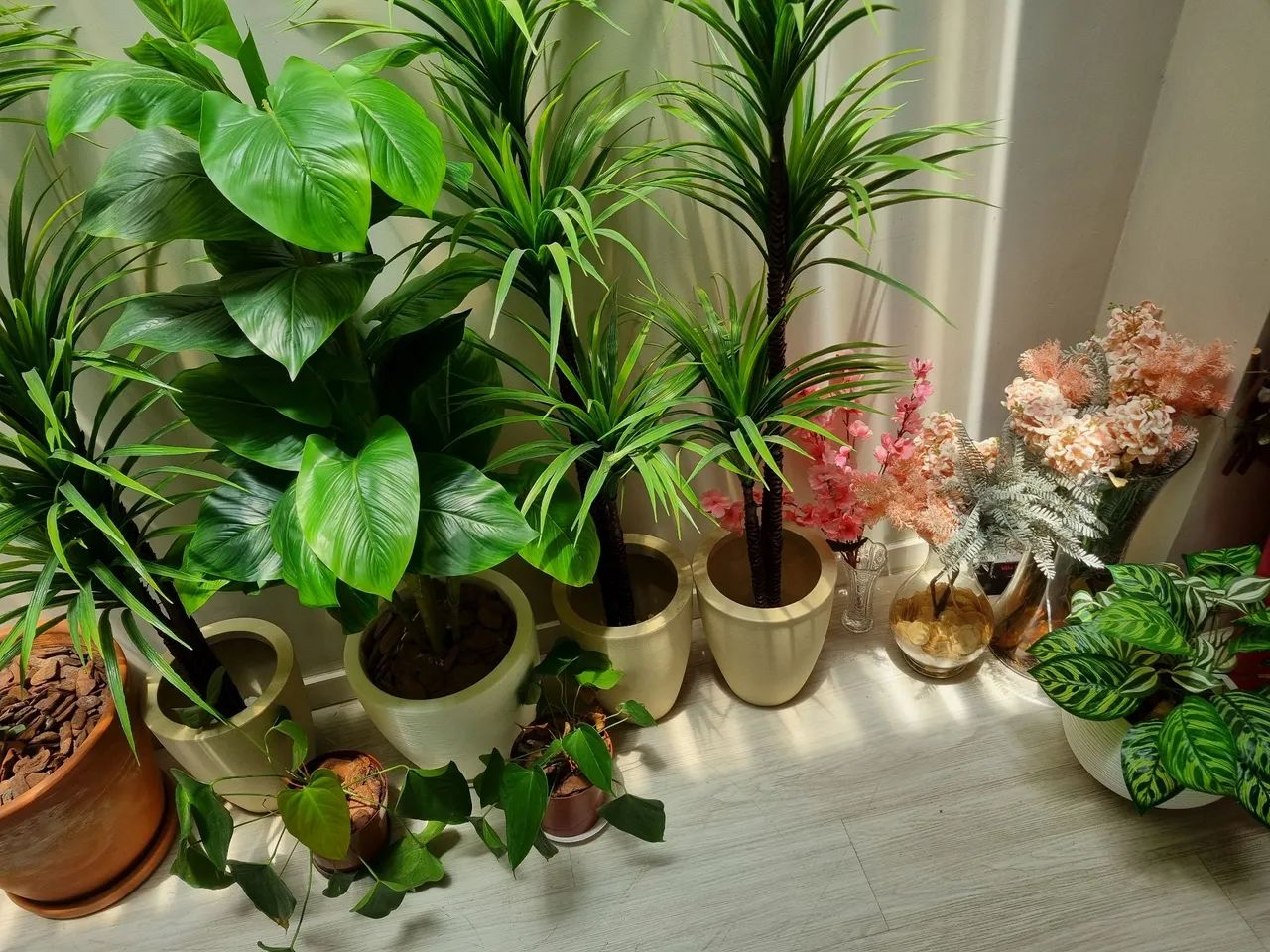 25 Plantas para decoração