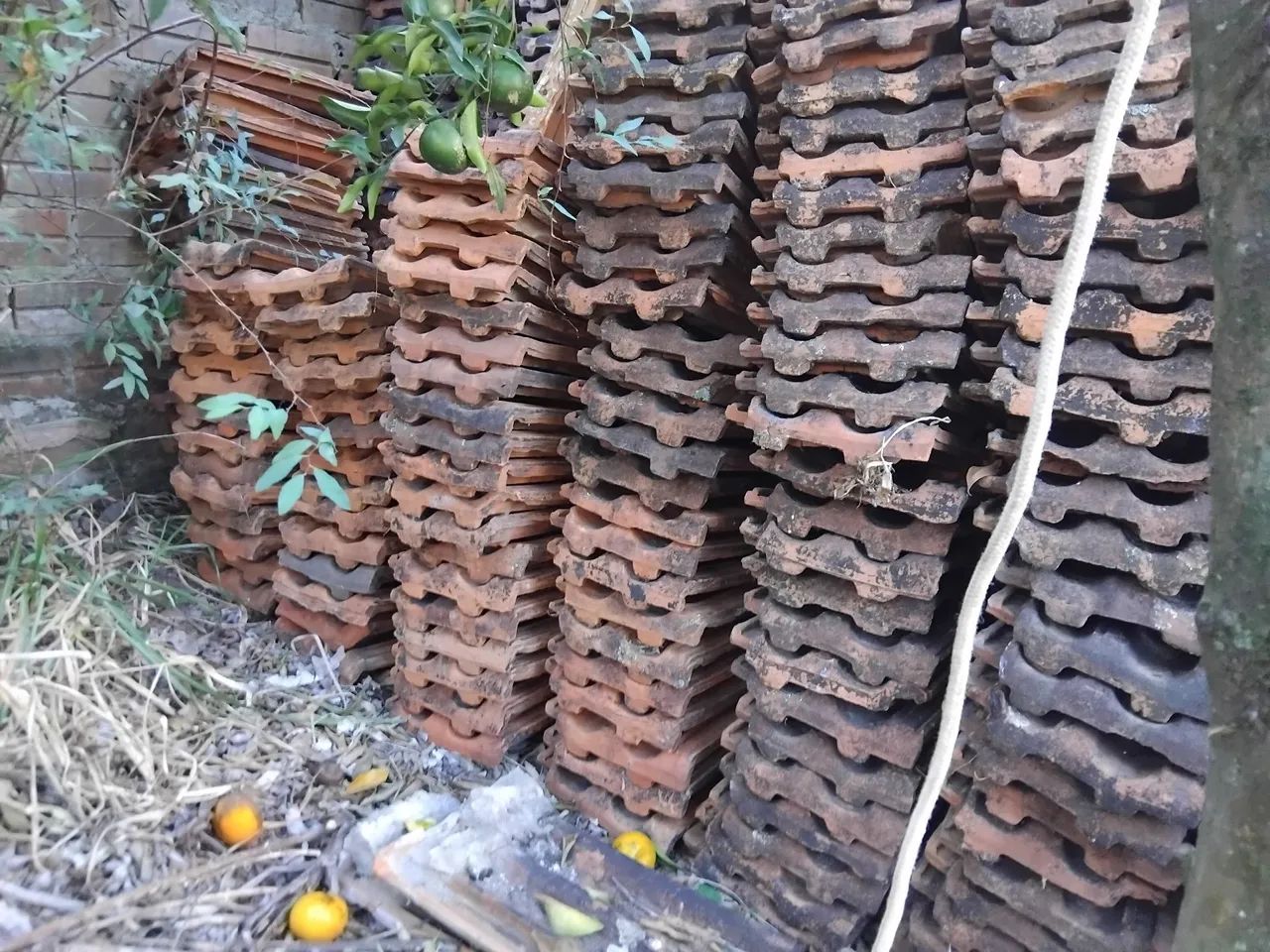 Vende-se 1000 telhas - Foto 2