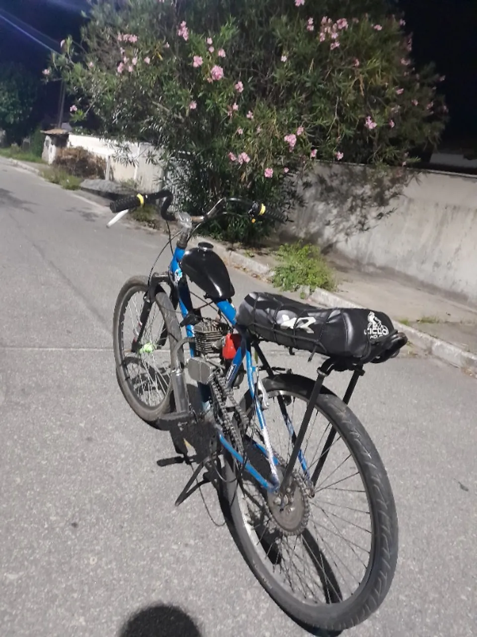 Bicicleta motorizada aro 26
