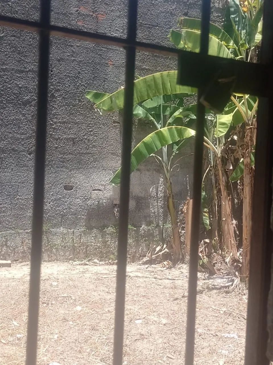 Foto - Cabo de Santo Agostinho - São Francisco