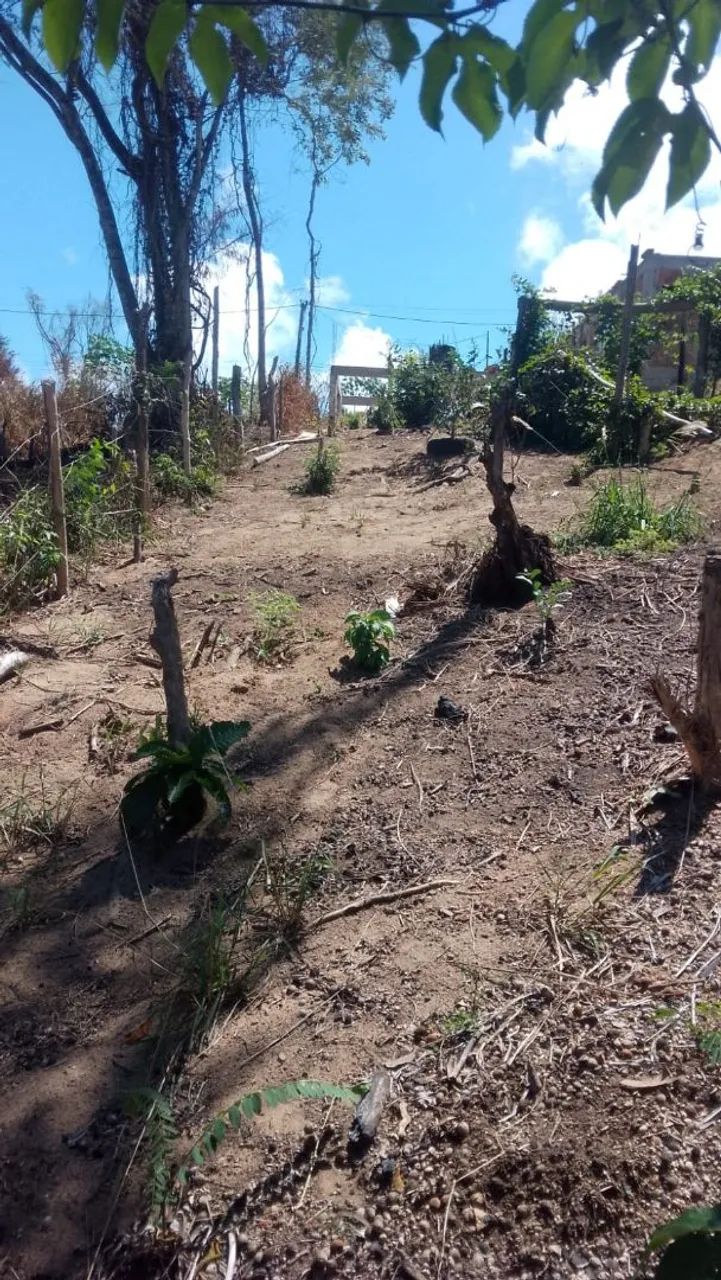 Vendo terreno em Bambuí  - Foto 4