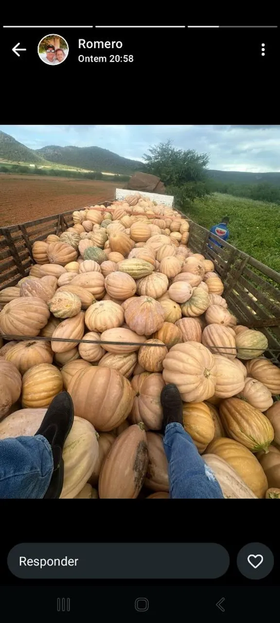 Vendo abobora e melancia carrada fexada e levo até vc meu WhatsApp *31Sovendoavista