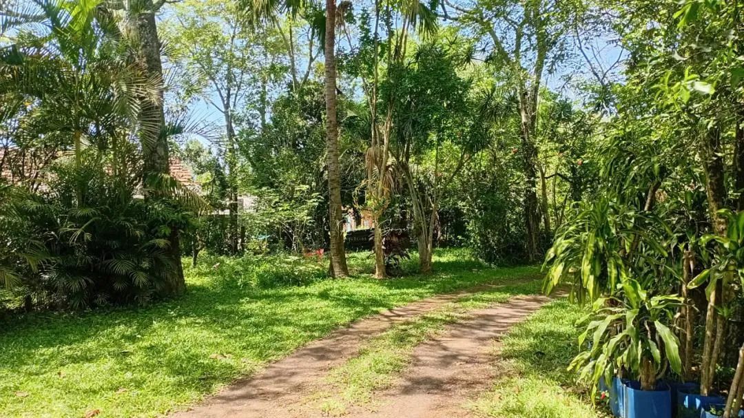 Chácara à venda em Nova Santa Rita - 1,5ha de área próximo à BR-386 REF: CS0109 - Foto 6