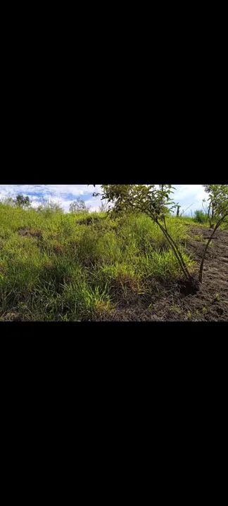 Vende-se terreno para chácara  - Foto 3