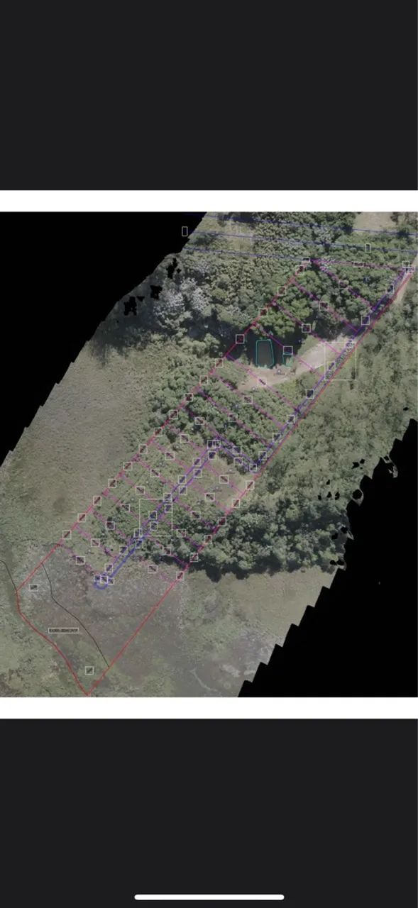 Foto - Mogi das Cruzes - Vila Jundiaí