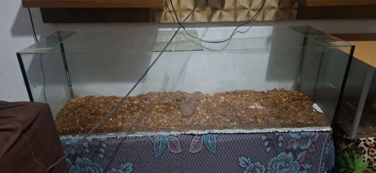 Vendo terrario para hamister de 1metro por 30 - Foto 2