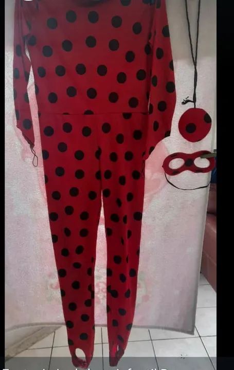 Fantasia Infantil Ladybug