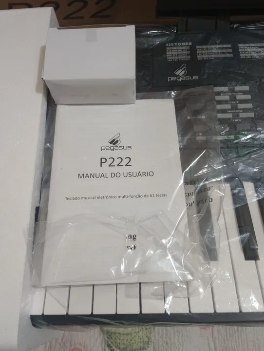 Teclado Musical Pegasus P222 61 teclas