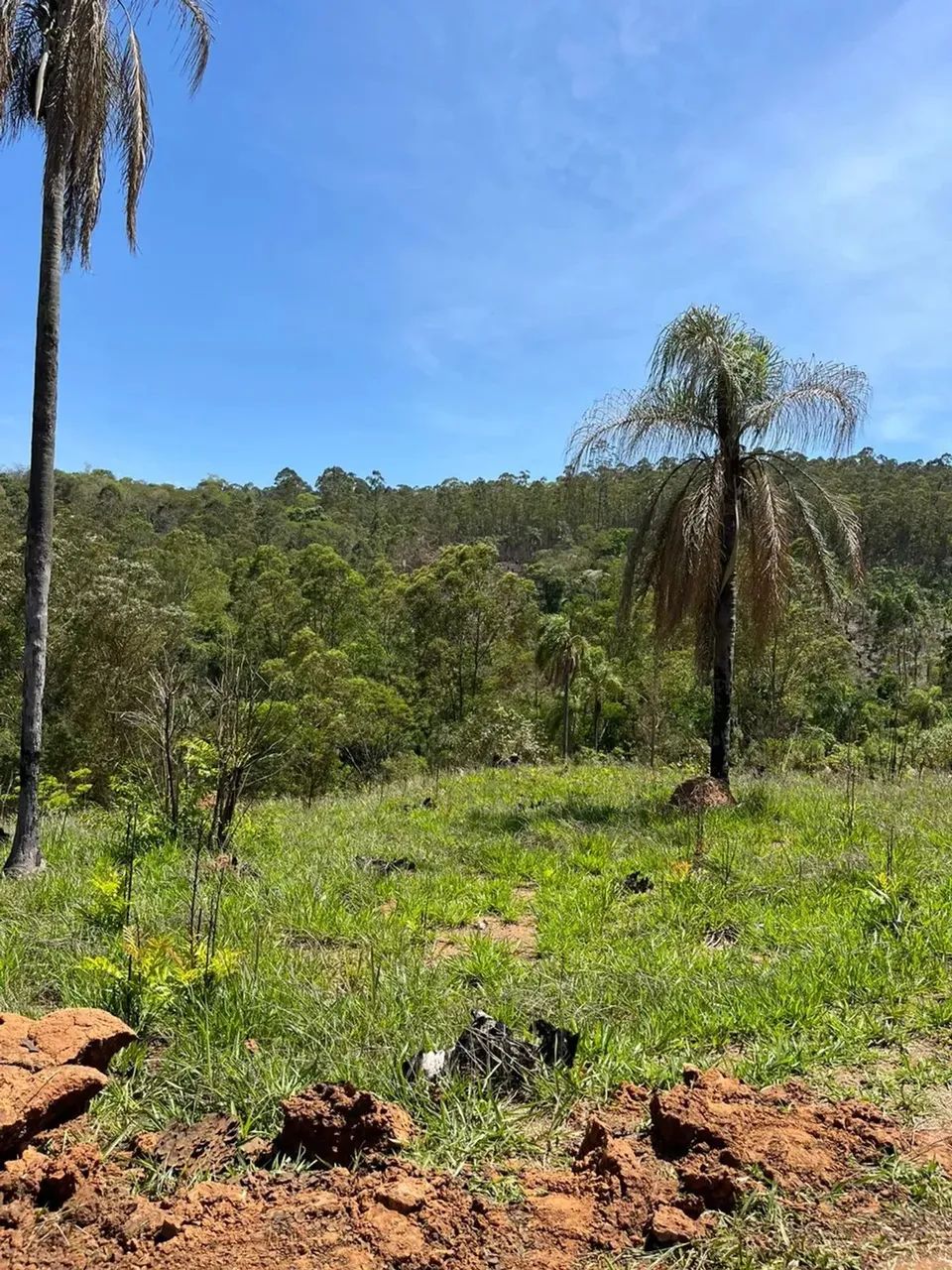 LANÇAMENTO IMPERDÍVEL EM ATIBAIA  TERRENOS DE 600M²! - Foto 13