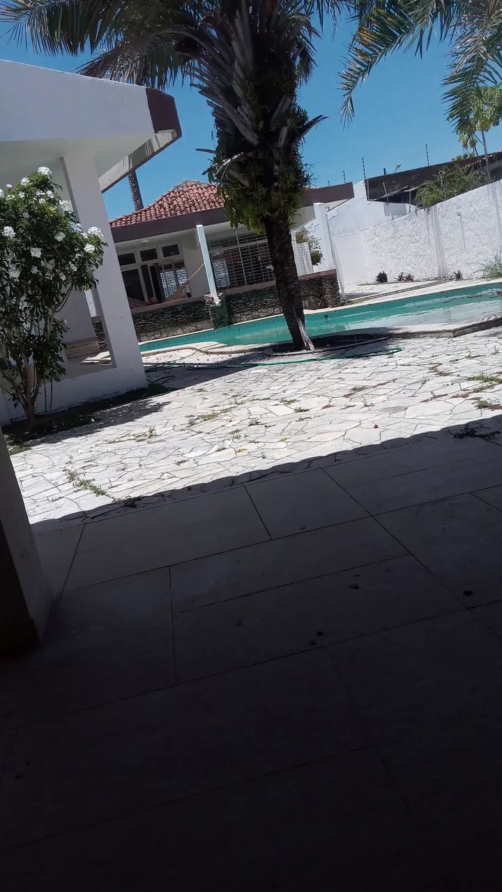 Poldas e limpeza de árvores  - Foto 4